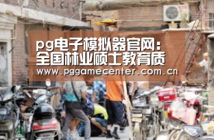 pg电子模拟器官网
