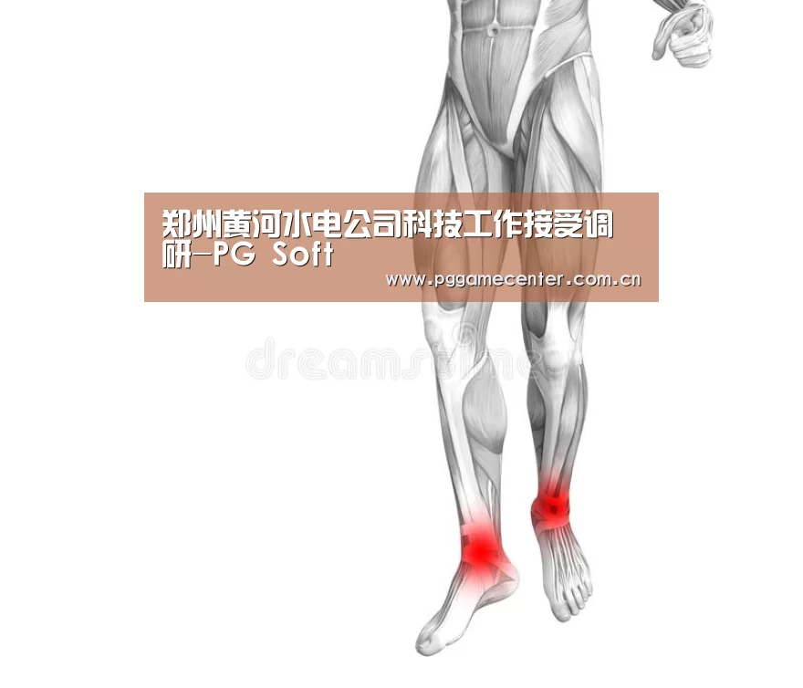 郑州黄河水电公司科技工作接受调研-PG Soft(图3) pg电子模拟器官网