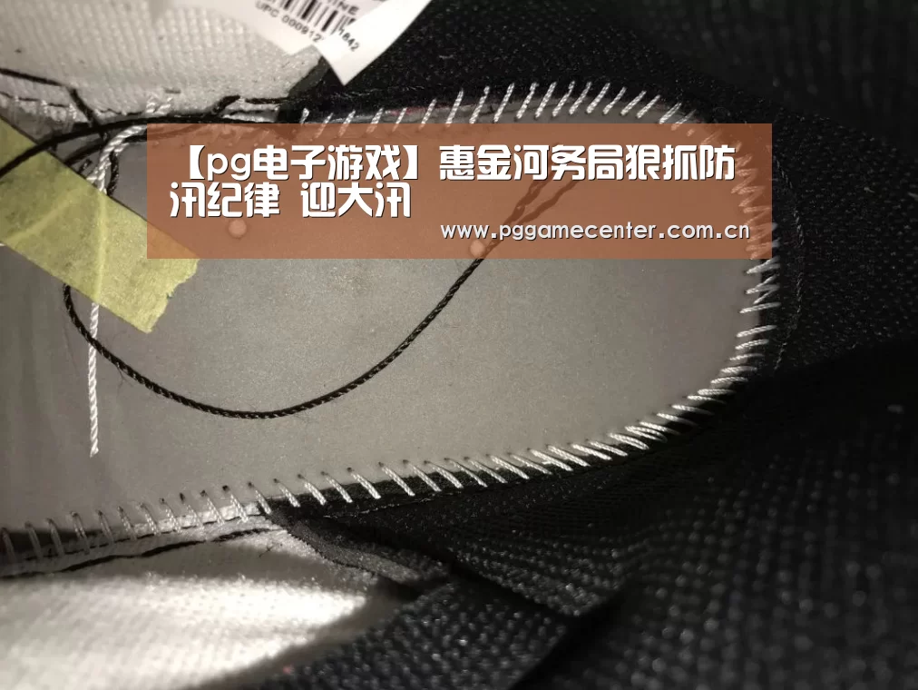 【pg电子游戏】惠金河务局狠抓防汛纪律 迎大汛(图3) pg电子游戏