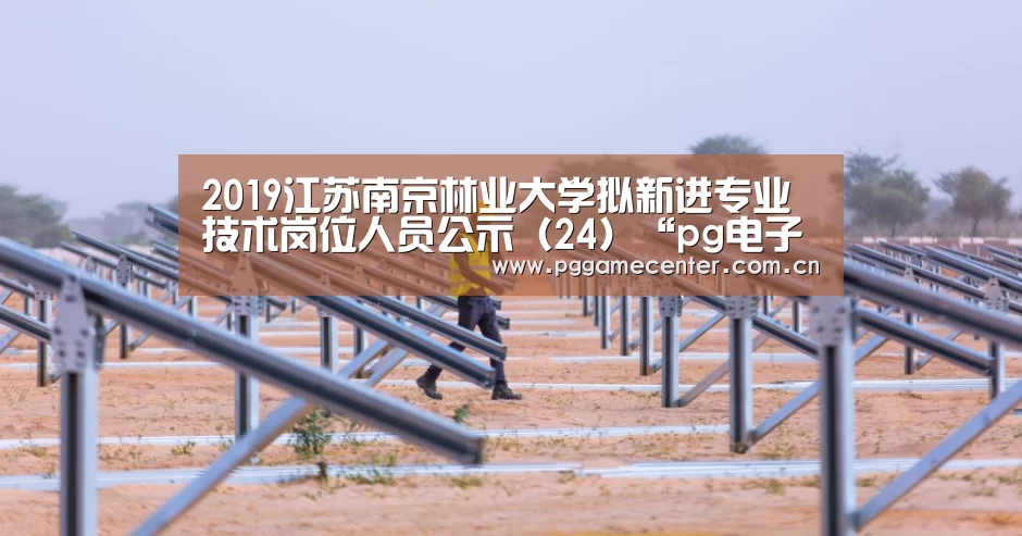 pg电子模拟器官网